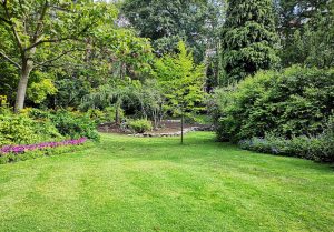 Optimiser l'expérience du jardin à Rothbach